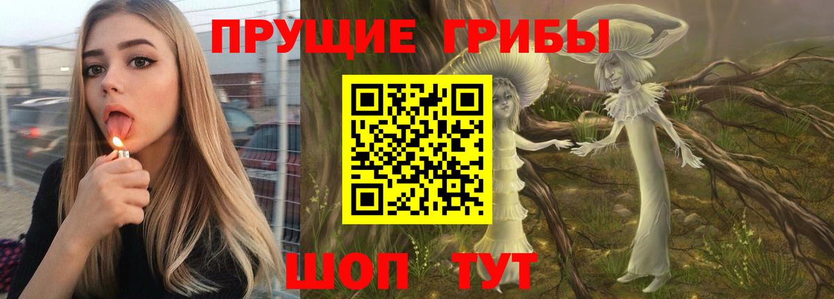 Псилоцибиновые грибы Cubensis Железноводск
