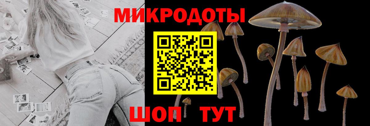 Железноводск  Псилоцибиновые грибы мицелий  Вход с VPN  Галлюциногенные грибы прущие грибы 